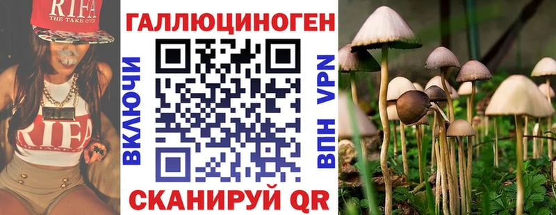 Галлюциногенные грибы Cubensis  Купить закладки  Судогда 